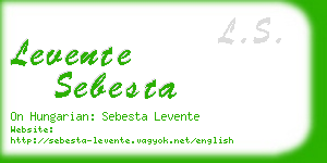 levente sebesta business card